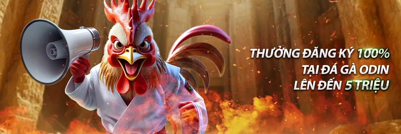 Liên hệ hỗ trợ khách hàng 456 win