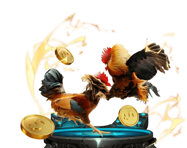 Hướng dẫn cá cược thể thao 456 win